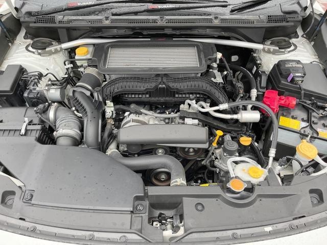 26251353_carP_l_18.jpg