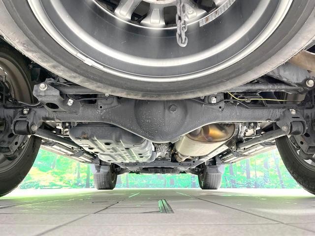 26357482_carP_l_20.jpg