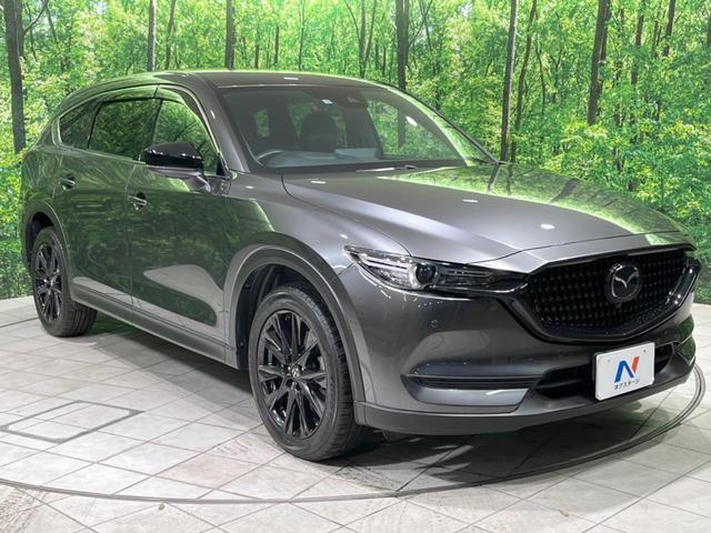 24665062_carP_l_12.jpg