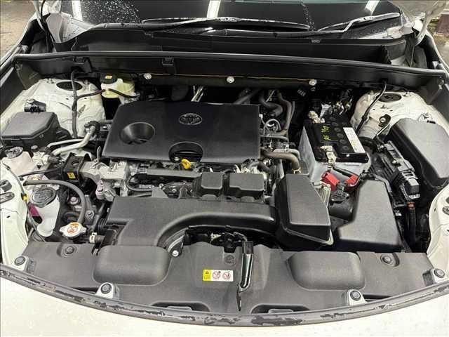 26808928_carP_l_8.jpg