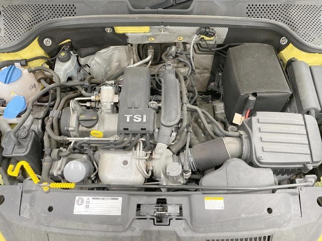 25714225_carP_l_18.jpg