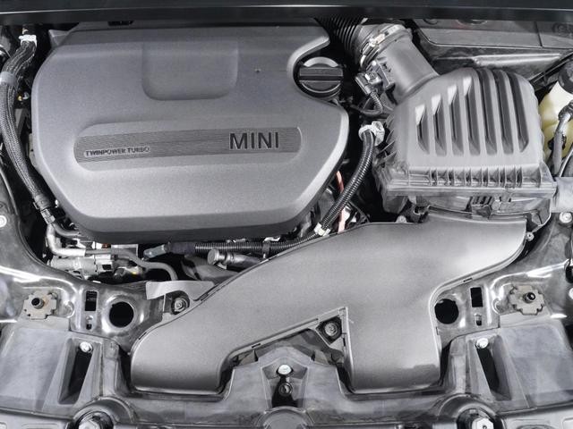 25051589_carP_l_14.jpg