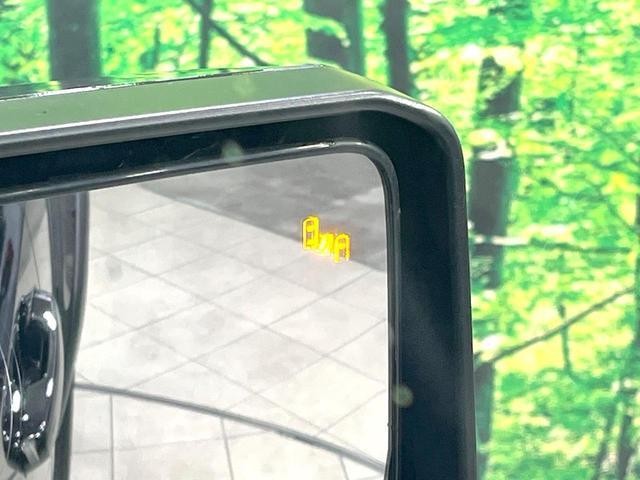 26357486_carP_l_14.jpg