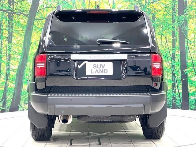 26357486_carP_l_16.jpg