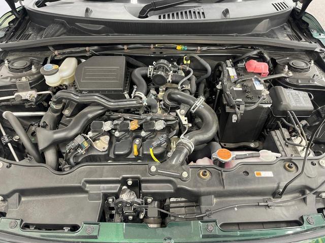 23207259_carP_l_12.jpg
