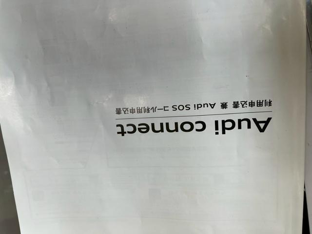 24726684_carP_l_6.jpg