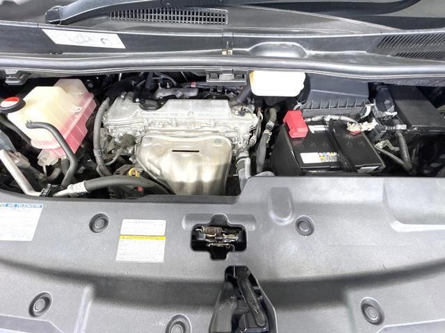 25904476_carP_l_18.jpg