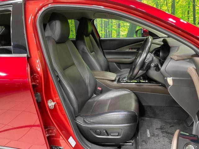 26357537_carP_l_17.jpg