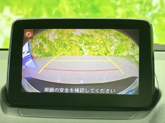 24265027_carP_l_6.jpg