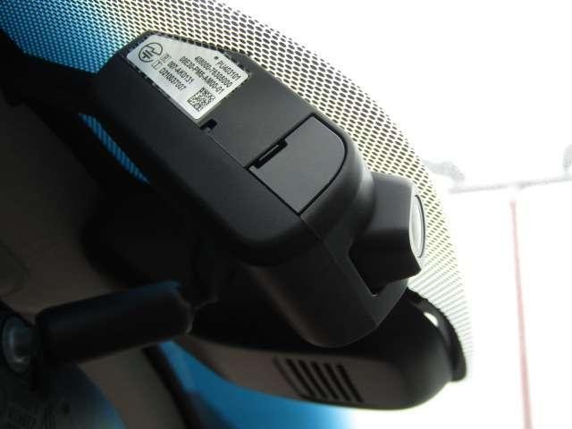 25032201_carP_l_7.jpg