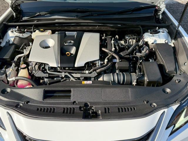24112688_carP_l_15.jpg