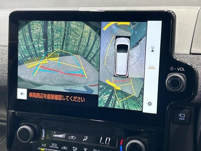 25591942_carP_l_4.jpg