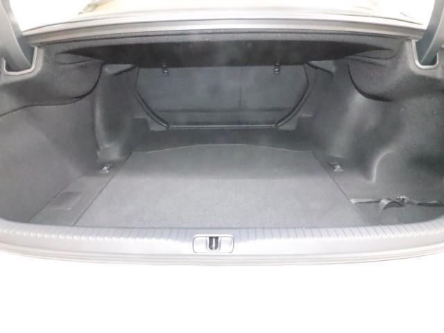 25111790_carP_l_6.jpg