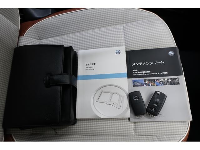 26231301_carP_l_10.jpg