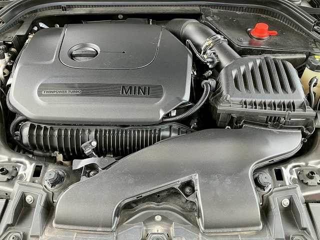 25152578_carP_l_16.jpg