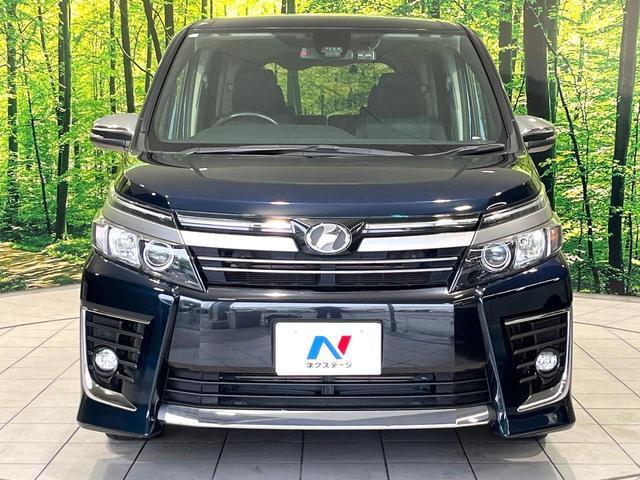24340745_carP_l_9.jpg