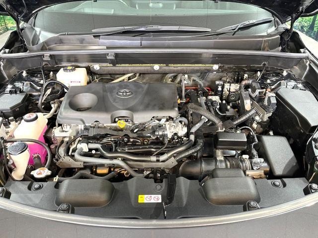 26251484_carP_l_12.jpg