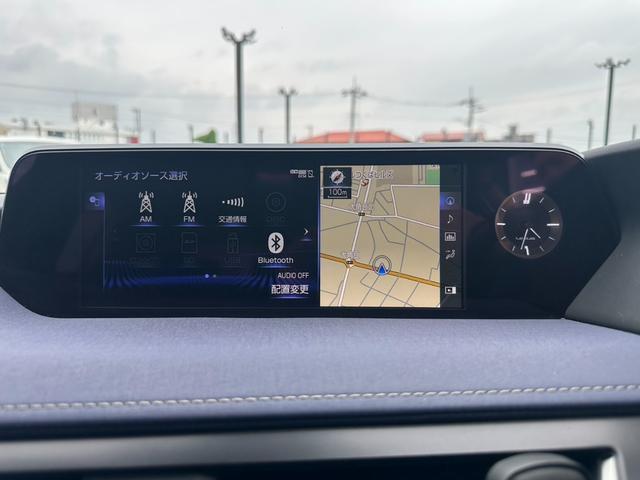 24869046_carP_l_14.jpg