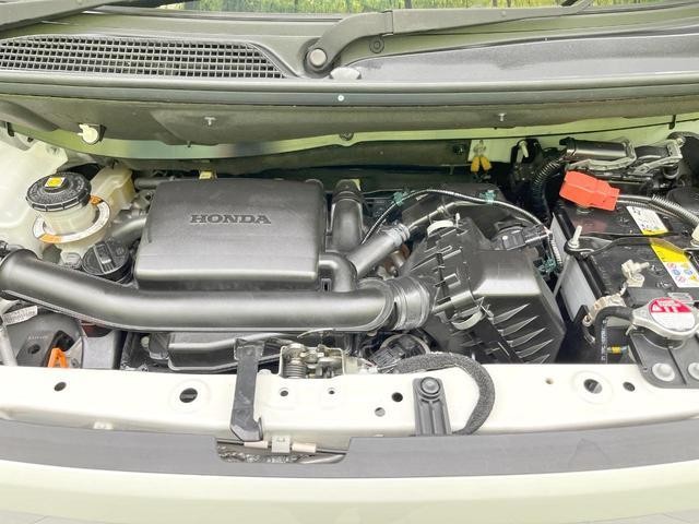 26426014_carP_l_12.jpg