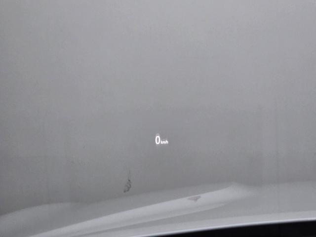 d1576867e20560549f969bf9aa5edaf5.jpeg