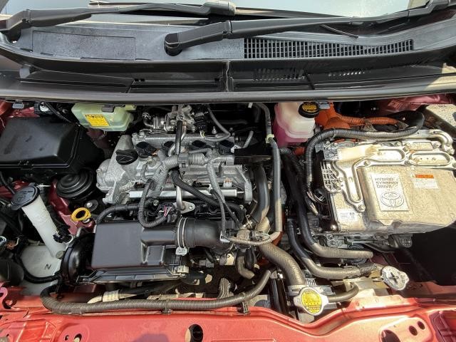 25399512_carP_l_11.jpg