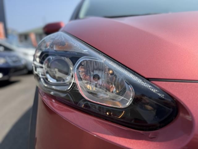 25399512_carP_l_16.jpg