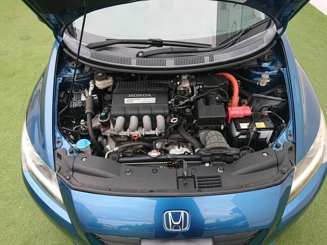 26083095_carP_l_7.jpg