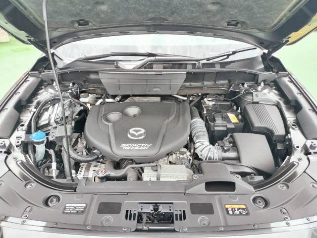 26083097_carP_l_2.jpg