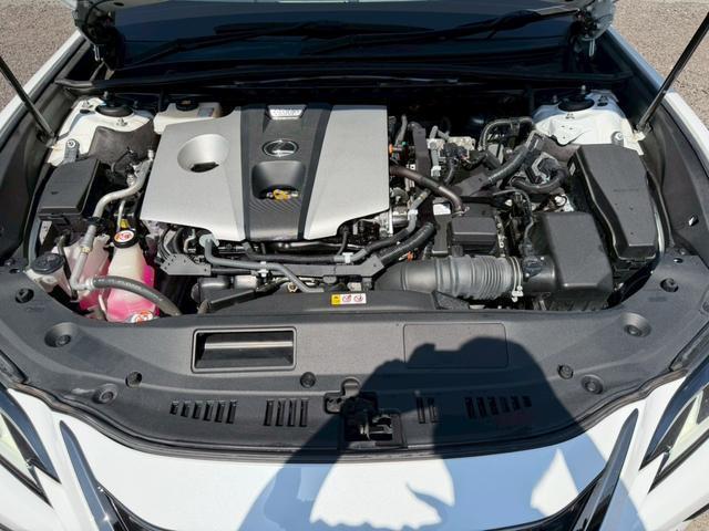 24112694_carP_l_7.jpg
