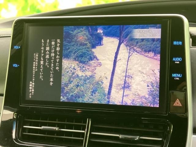 26037810_carP_l_7.jpg