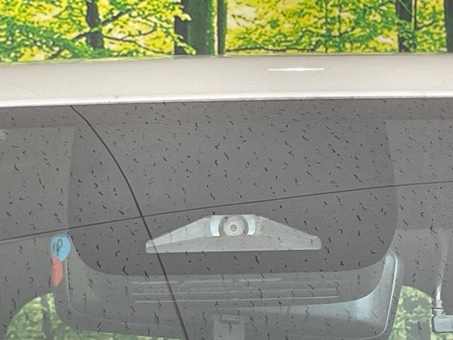 25592137_carP_l_10.jpg