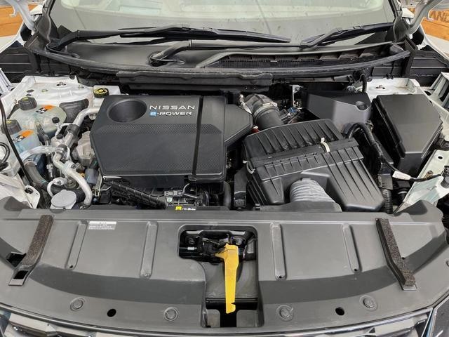 25117470_carP_l_20.jpg