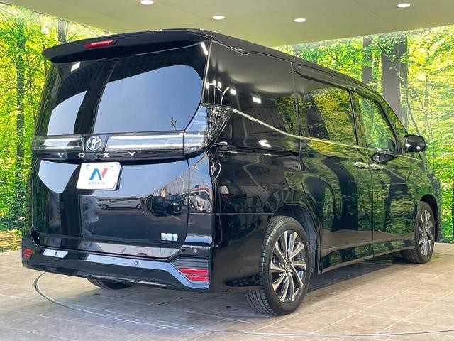 26064245_carP_l_16.jpg