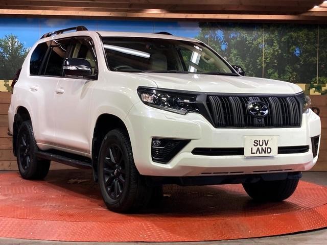 26251493_carP_l_11.jpg