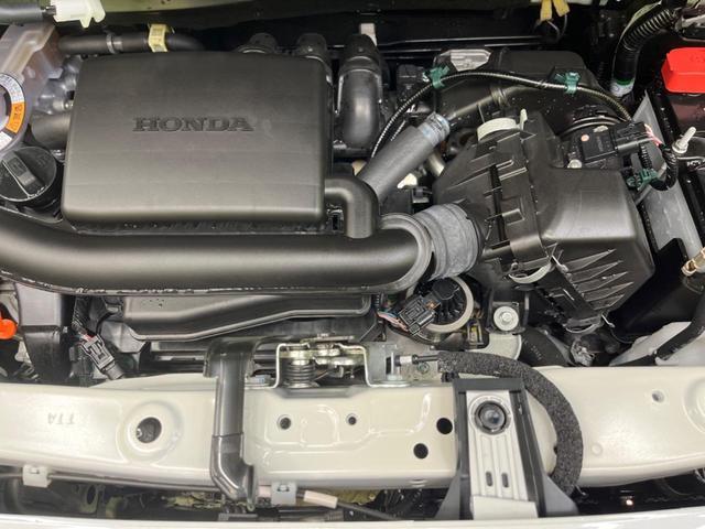 24111532_carP_l_16.jpg