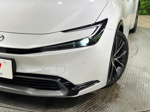 25035896_carP_l_6.jpg