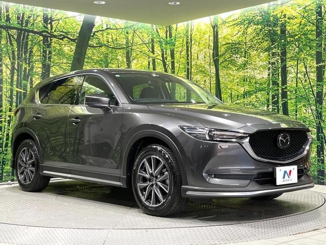 26816404_carP_l_11.jpg