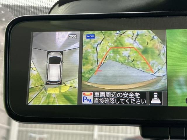 23135056_carP_l_6.jpg