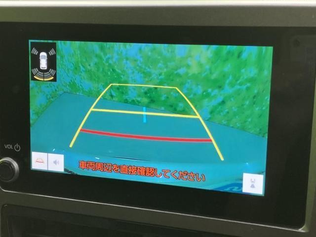 25041588_carP_l_6.jpg