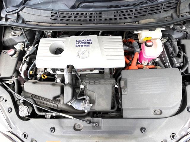 24665190_carP_l_18.jpg