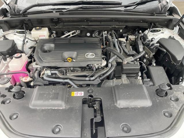 24932310_carP_l_16.jpg