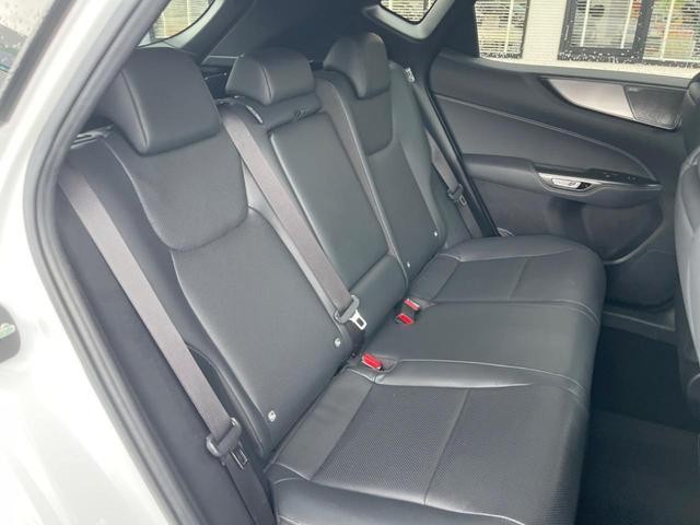24932310_carP_l_5.jpg