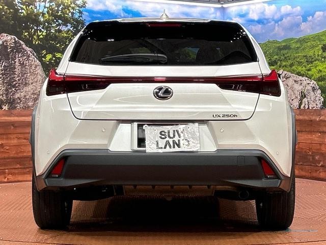 25138486_carP_l_11.jpg