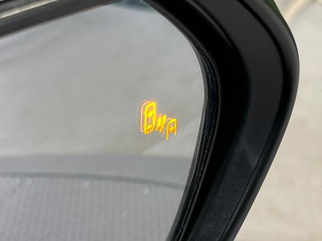 24421770_carP_l_14.jpg