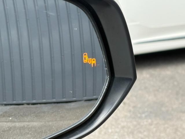 25404505_carP_l_19.jpg
