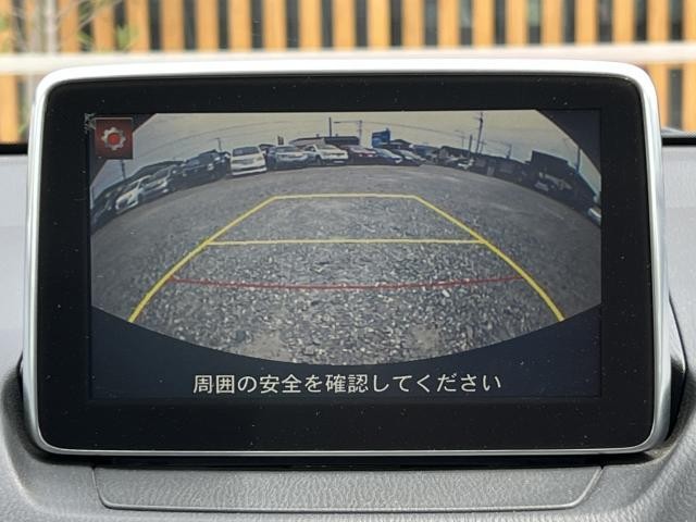 25749533_carP_l_19.jpg