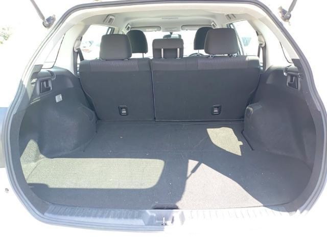 25898883_carP_l_17.jpg