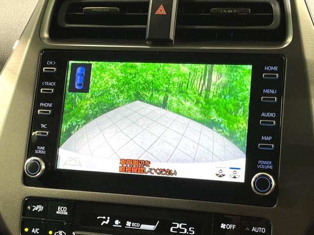 25466465_carP_l_10.jpg