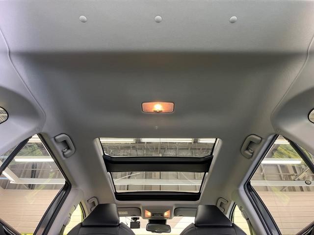 24869197_carP_l_2.jpg