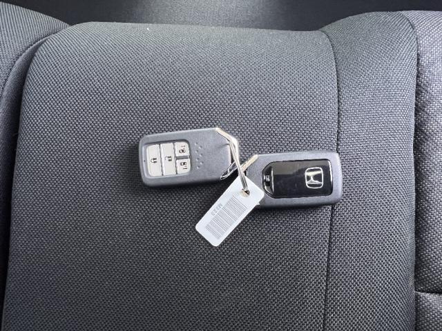 23966585_carP_l_17.jpg